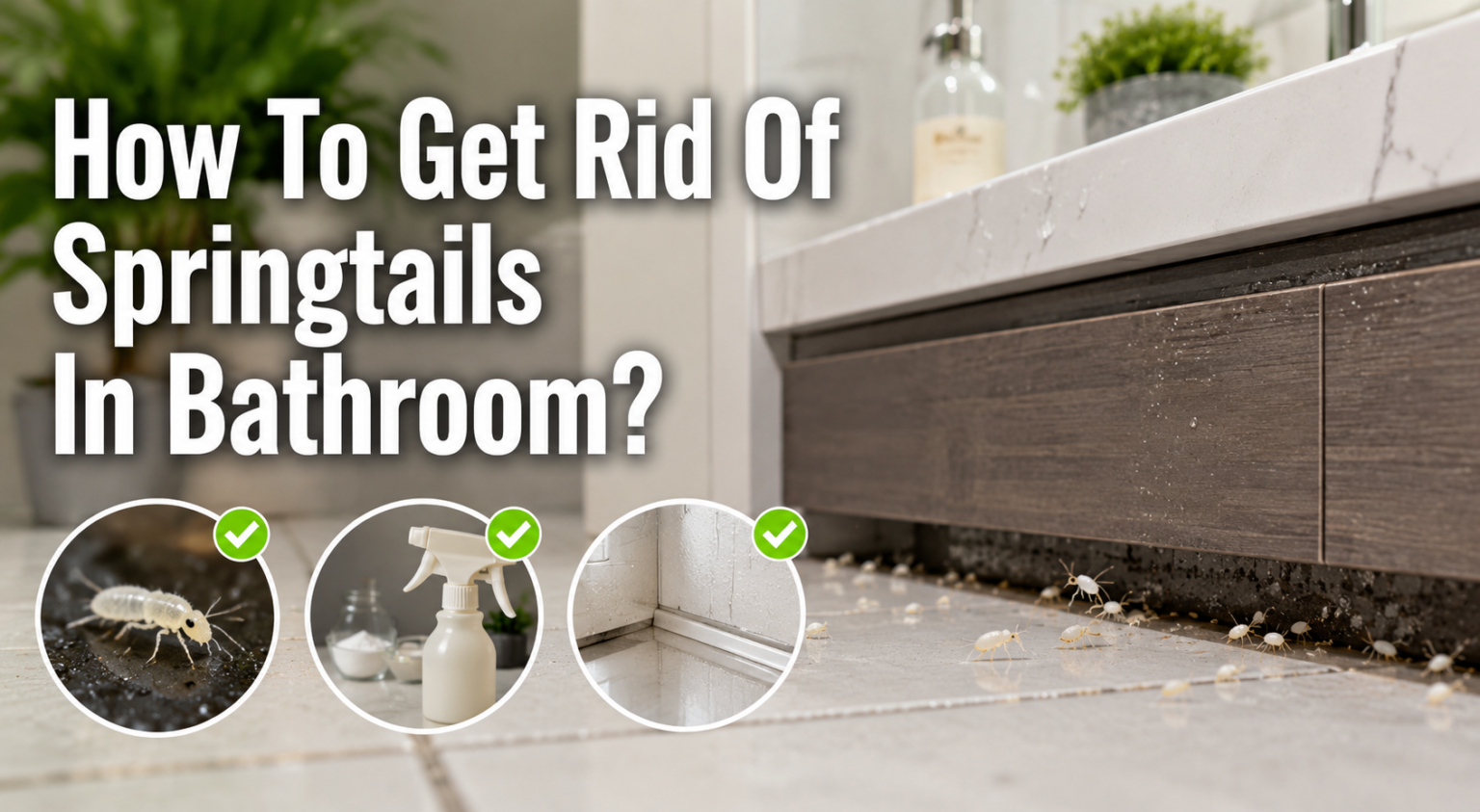 How To Get Rid Of Springtails In Bathroom